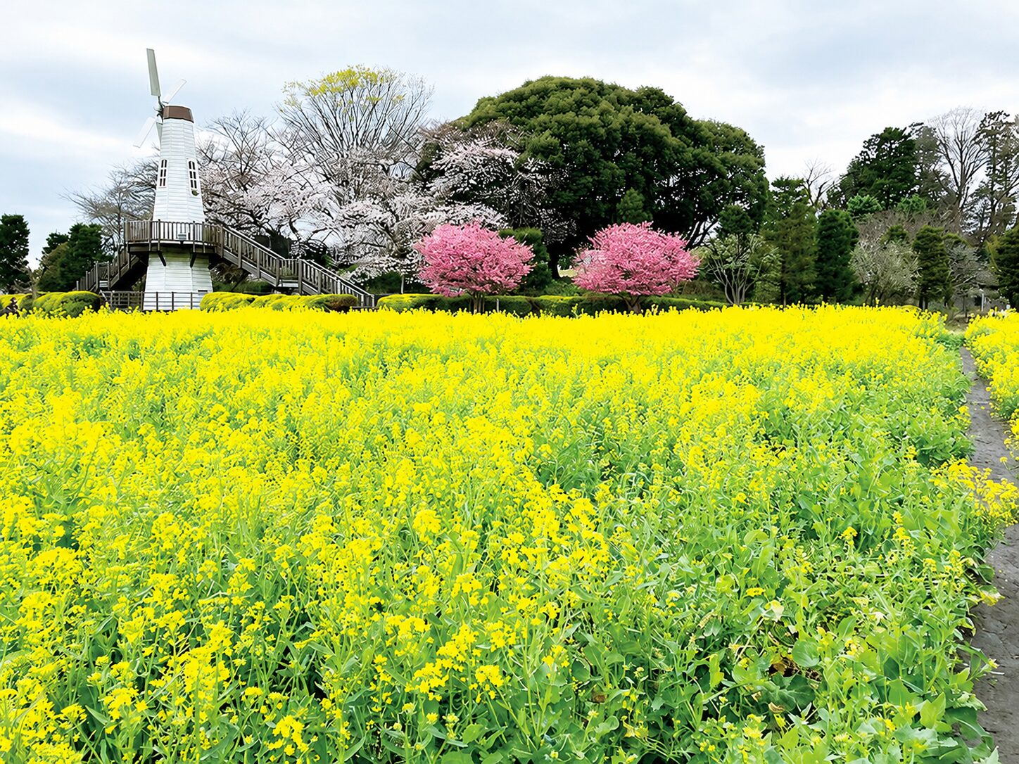 さいたま市北区