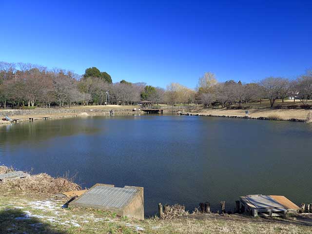 蓮田市