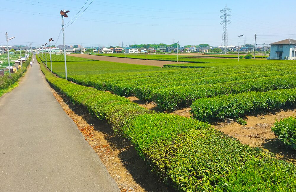 狭山市